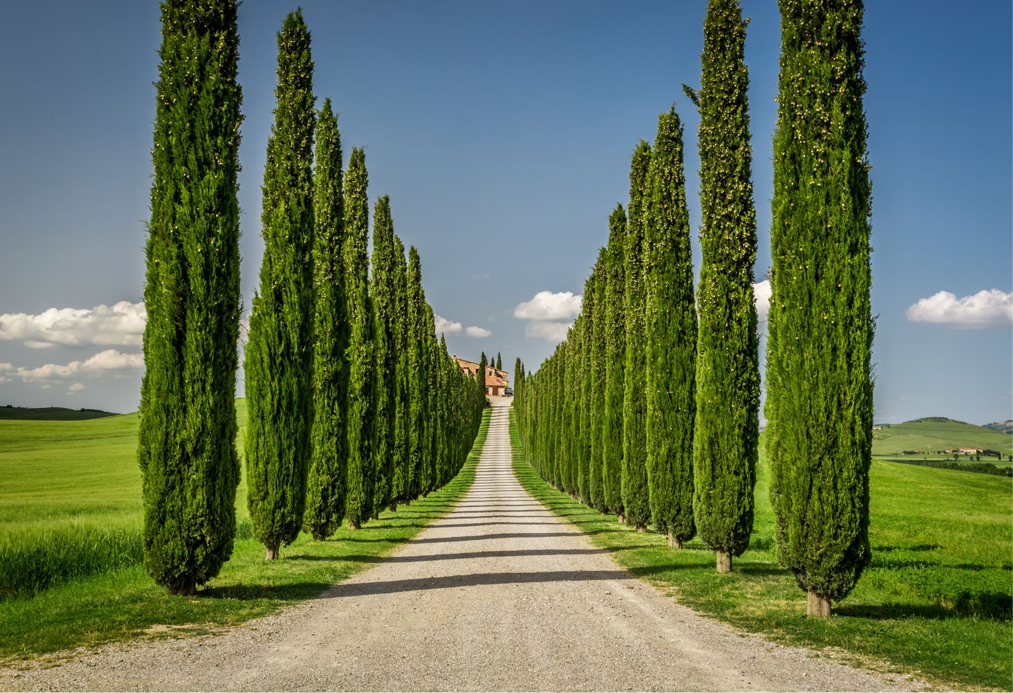 TURISMO ESPERENZIALE